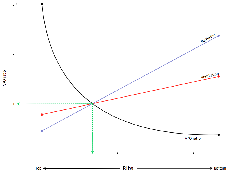 mustknowdiagramsandgraphs